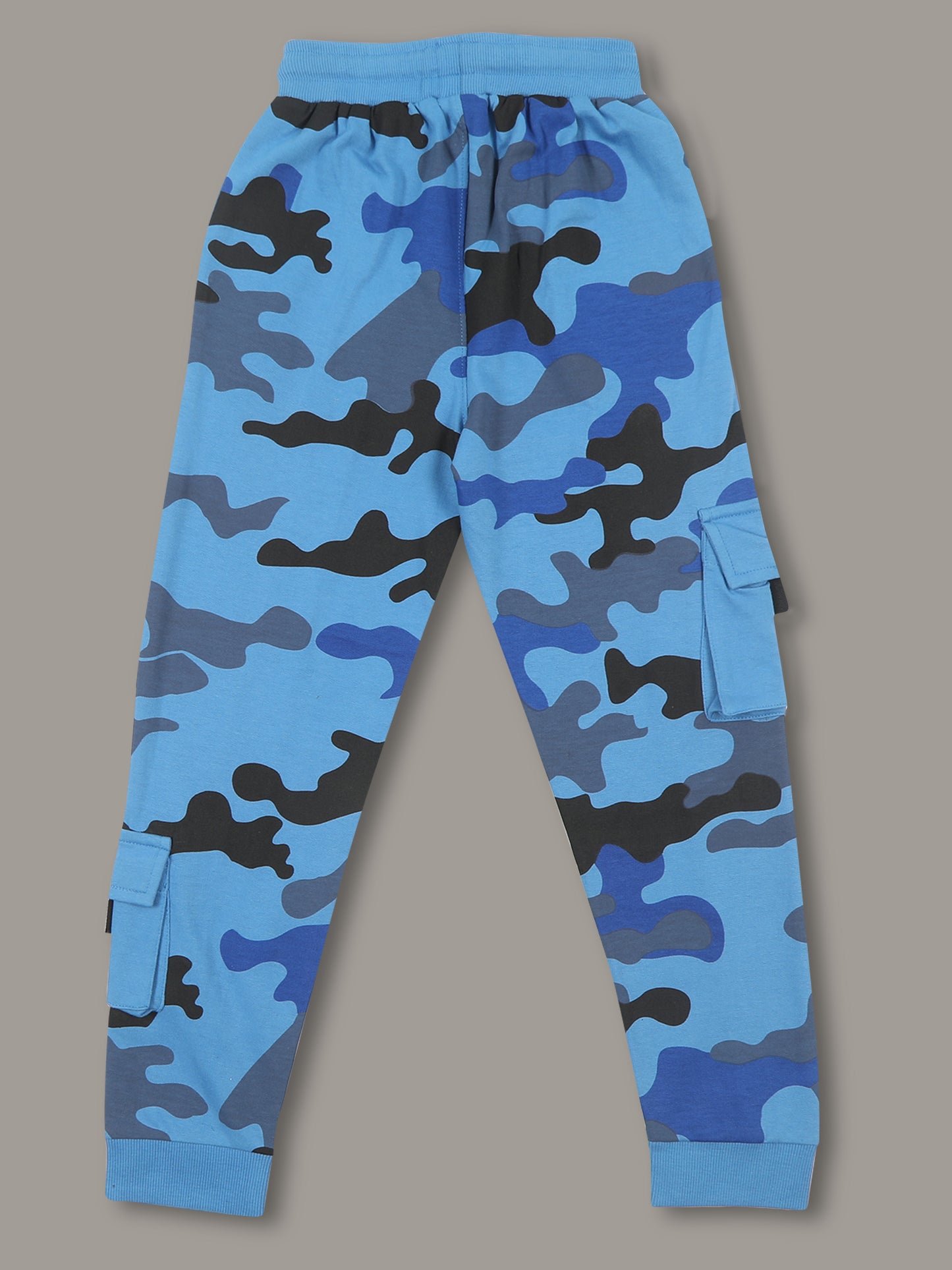 Boys Printed Regular fit Blue  Trackpant