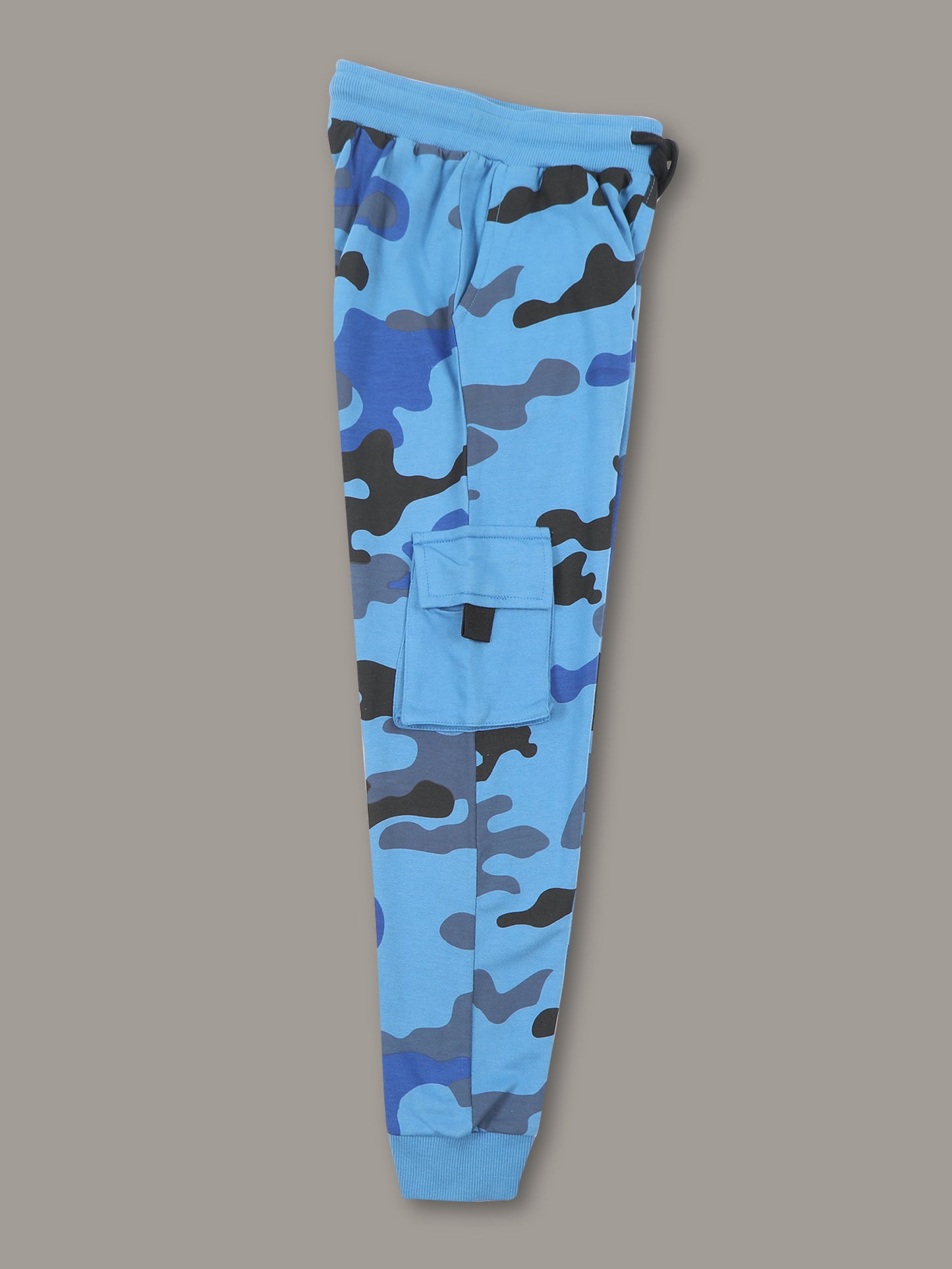 Boys Printed Regular fit Blue  Trackpant