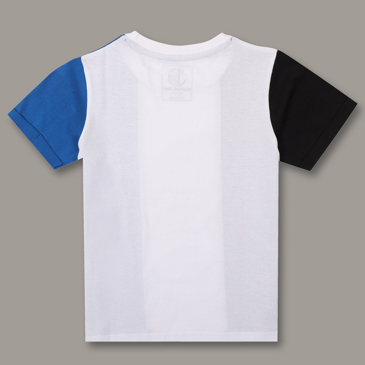 Boys Colorblock Regular fit Multi Color  T-Shirt