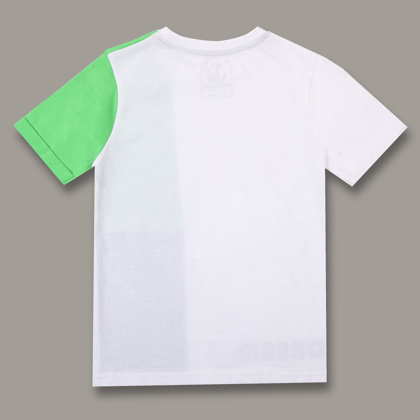 Boys Colorblock Regular fit Multi Color  T-Shirt