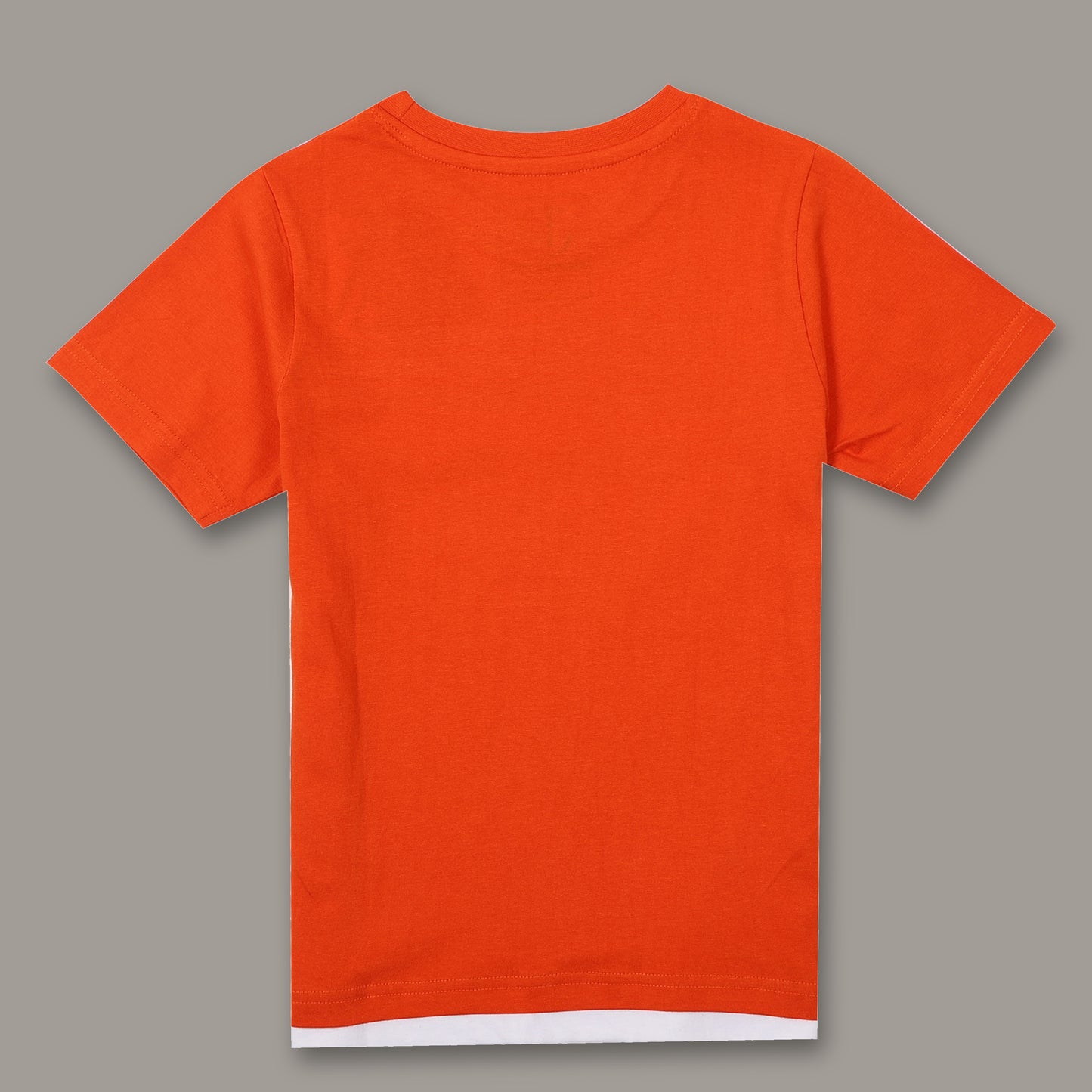 Boys Printed Regular fit Orange  T-Shirt