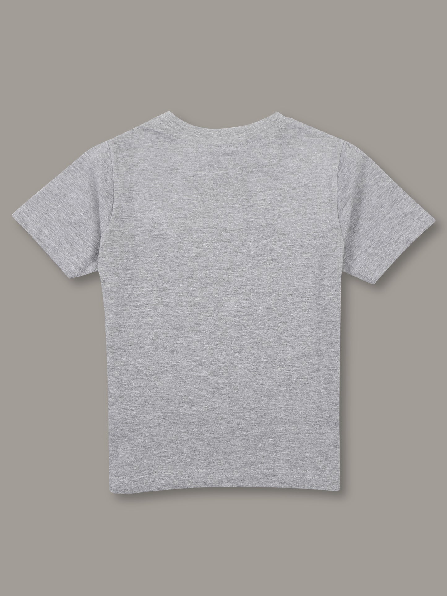 Boys Solid Regular fit Grey  T-Shirt