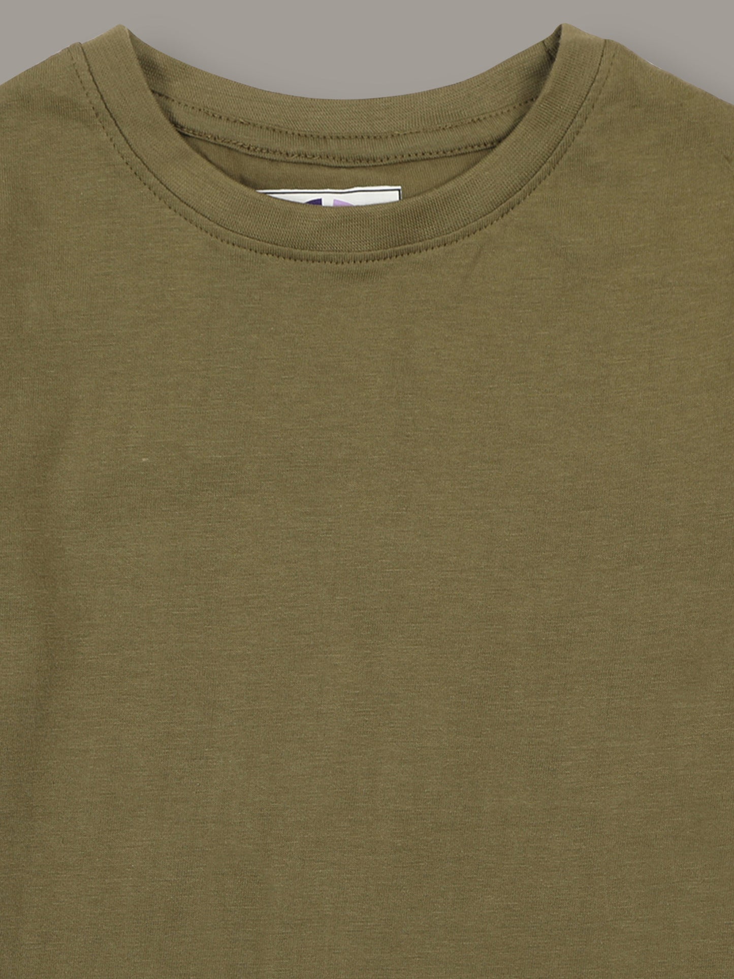 Boys Solid Regular fit Olive  T-Shirt